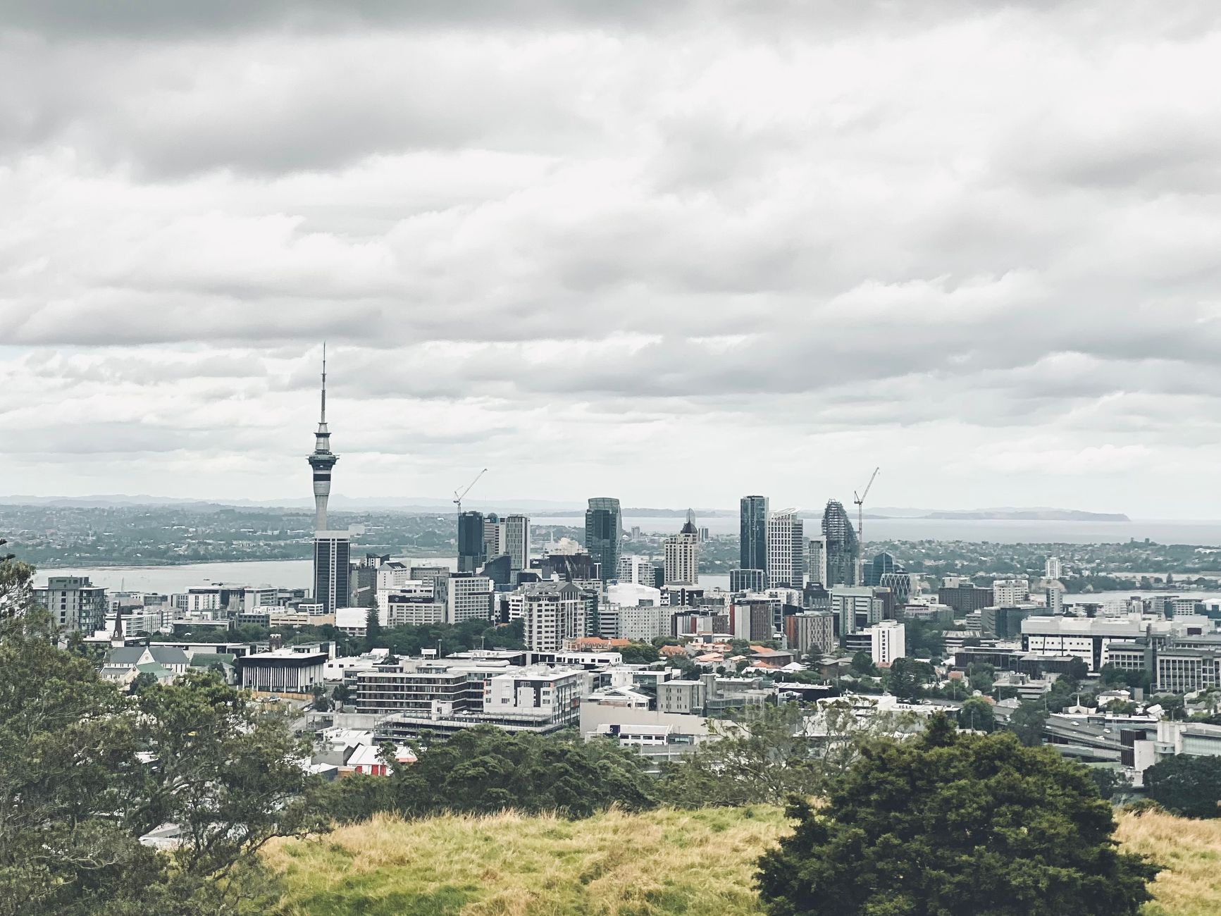 Auckland city skyline representing NZ net migration 2026 population and housing growth