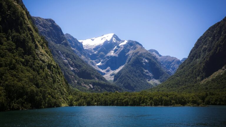 Fiord landscape in New Zealand with a snow-capped peak, forested cliffs and calm water